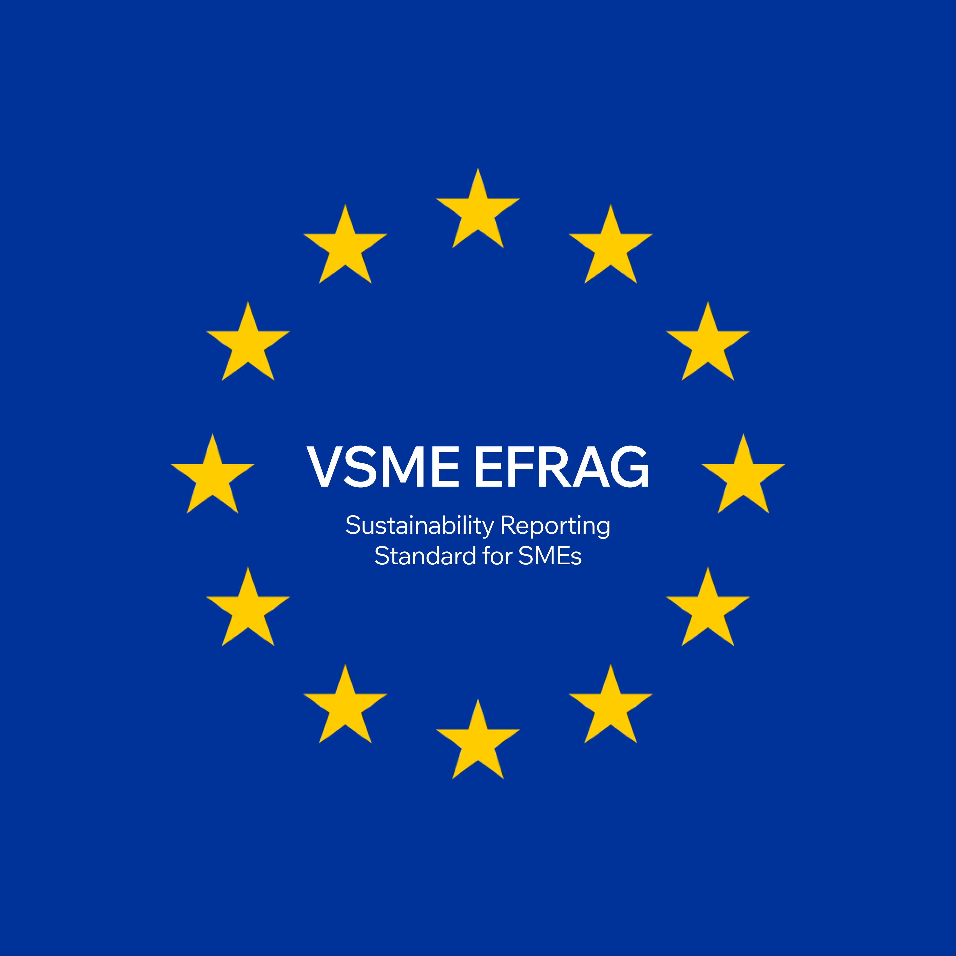 VSME EFRAG Sustainability Reporting Standard for SMEs